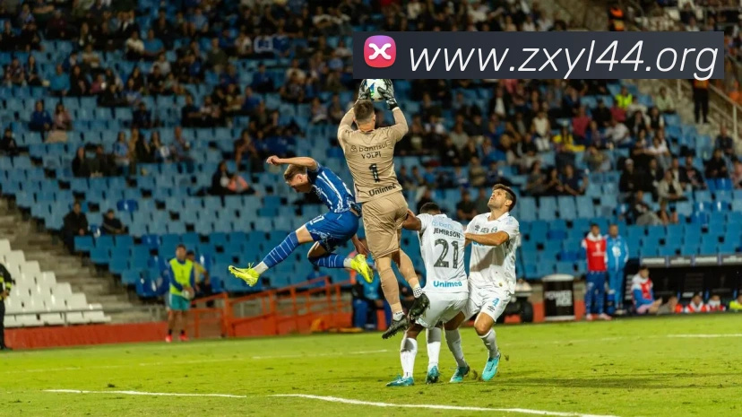 全球热力图